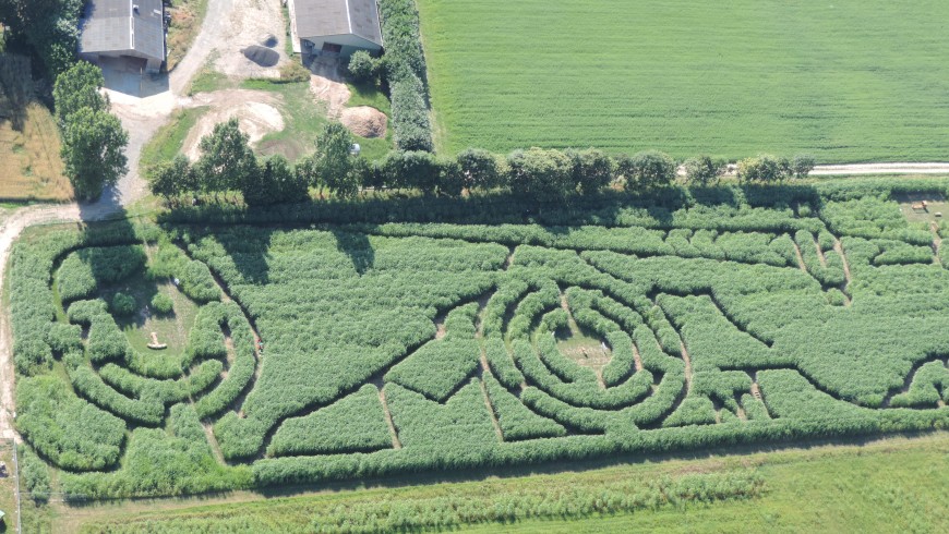 labyrinthe_miscanthus_mont_saint_michel