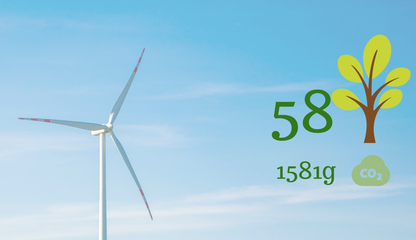 Électricité à partir de sources renouvelables 100% - Combien de CO2 et combien des arbres épargnez-vous chaque jour en voyageant durablement avec Ecobnb ?