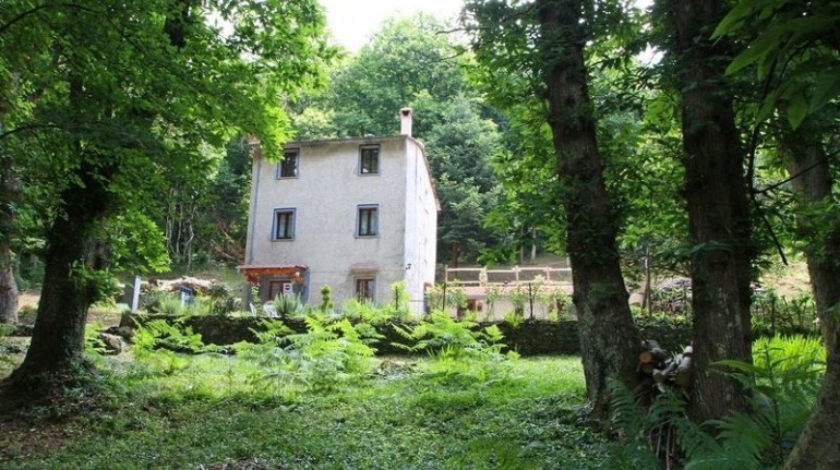 Une petite maison dans les bois à 15 minutes de la mer de la Toscane