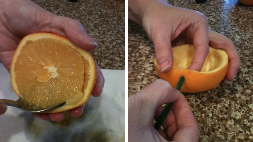 écorces d'oranges utilisations