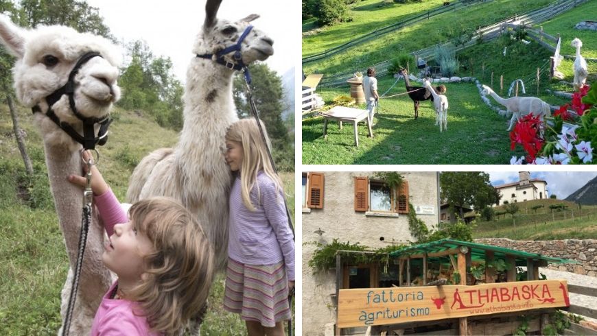 Ferme Athabaska - Trentin-Haut-Adige