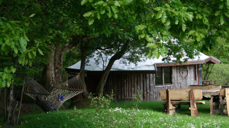 Maison en bois entourée par la nature