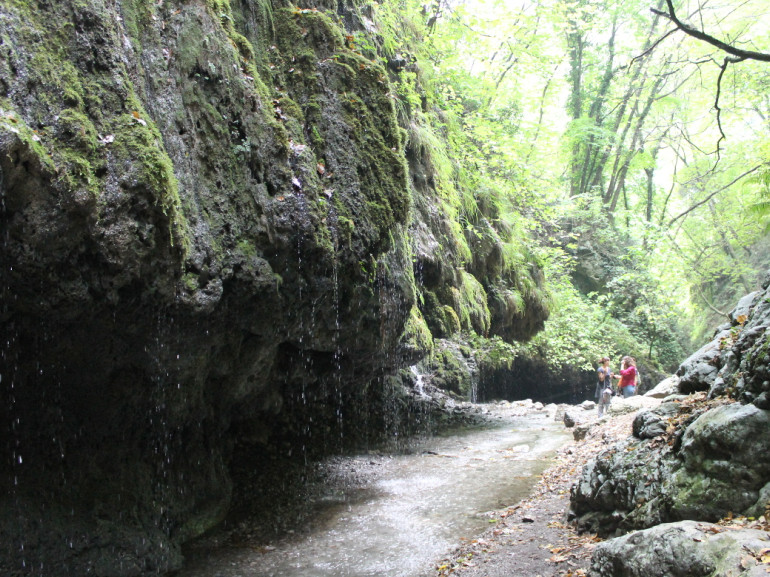 réserve naturelle de Valle delle Ferriere.