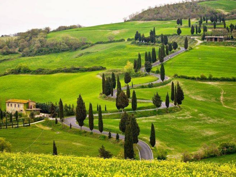 Les collines parsemées de cyprès et de fermes anciennes, dont beaucoup sont convertis aujourd’hui à l'agriculture biologique et à l’hospitalité écologique, Toscane, Italie
